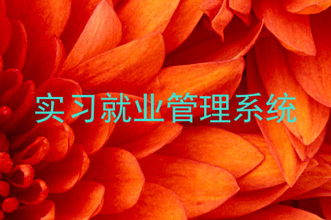 实习就业管理系统
