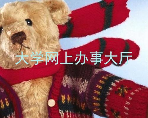 大学网上办事大厅