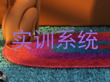 实训系统