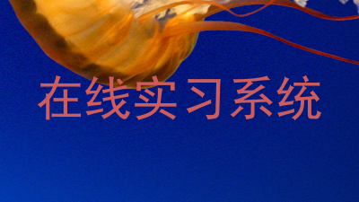 在线实习系统
