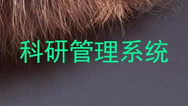 科研管理系统