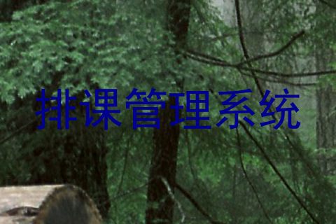 排课管理系统