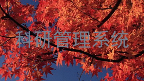 科研管理系统