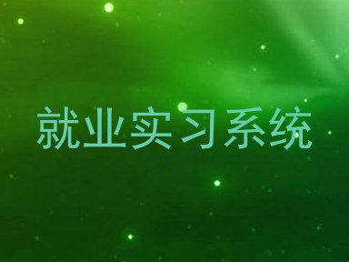 就业实习系统