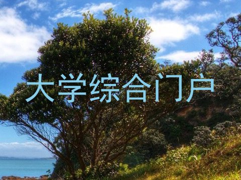 大学综合门户