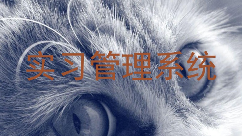 实习管理系统