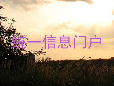 统一信息门户