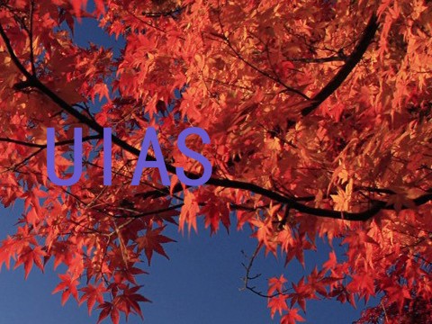 UIAS