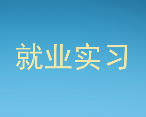 就业实习