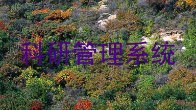科研管理系统