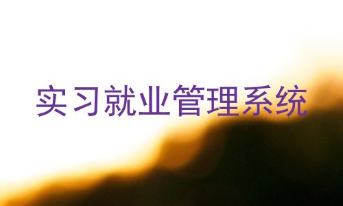 实习就业管理系统
