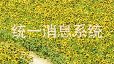 统一消息系统