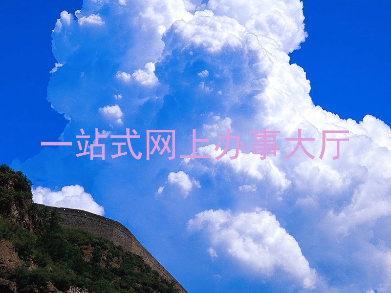 一站式网上办事大厅