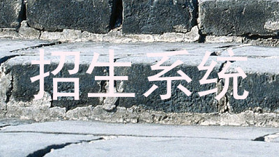 招生系统