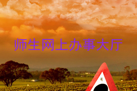 师生网上办事大厅
