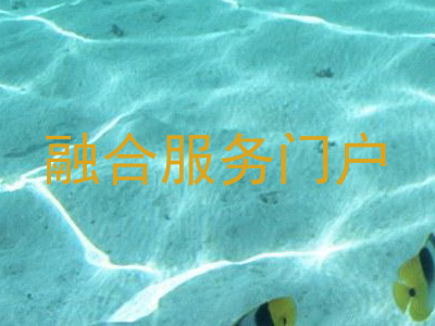 融合服务门户
