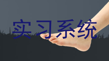 实习系统