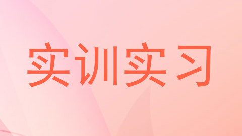 实训实习
