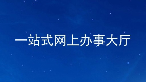一站式网上办事大厅
