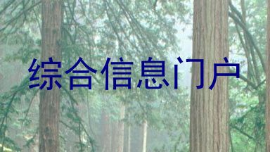 综合信息门户
