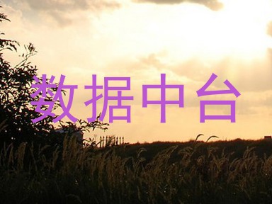 数据中台