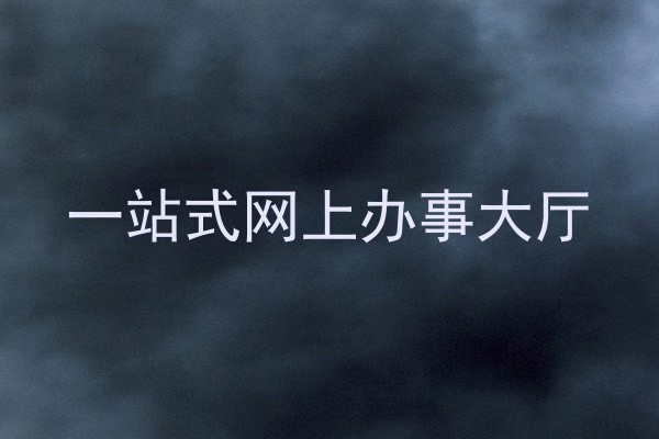一站式网上办事大厅