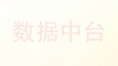 数据中台