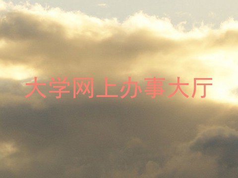 大学网上办事大厅
