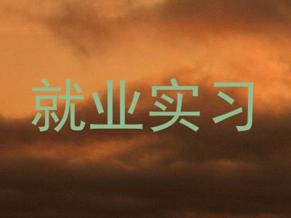 就业实习