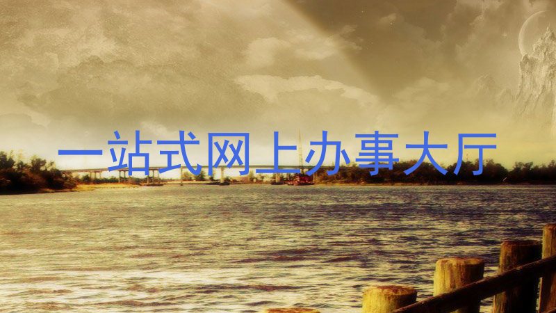 一站式网上办事大厅