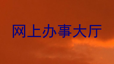 网上办事大厅