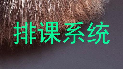 排课系统