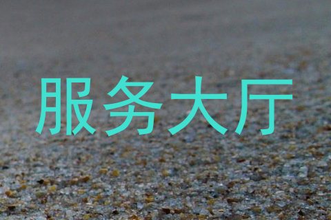 服务大厅