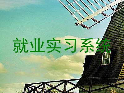 就业实习系统