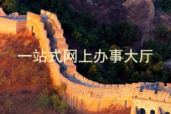 一站式网上办事大厅