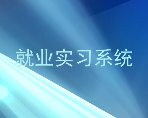 就业实习系统