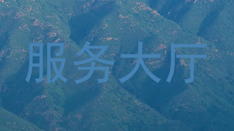 服务大厅