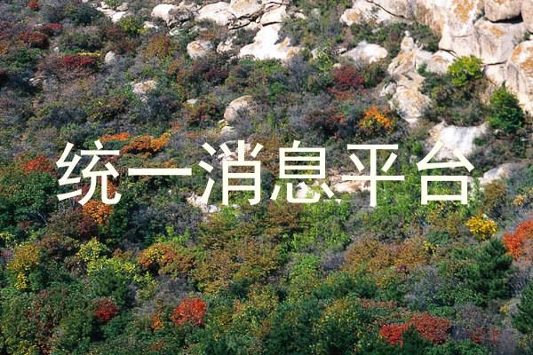 统一消息平台
