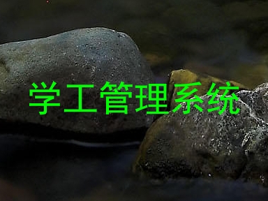 学工管理系统