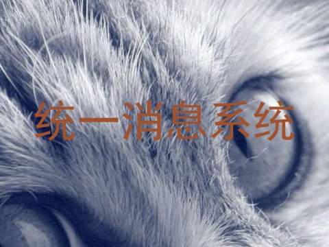 统一消息系统