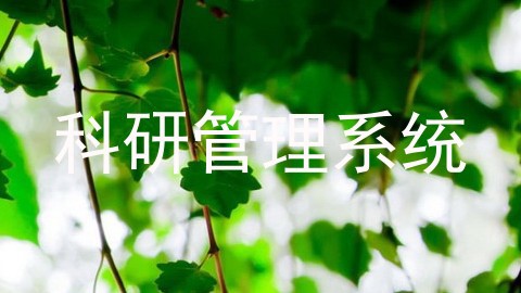 科研管理系统