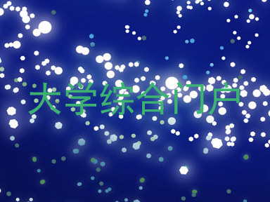 大学综合门户