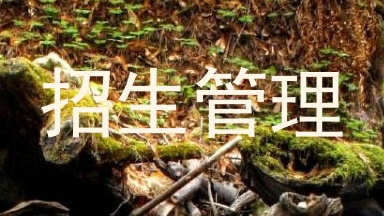 招生管理