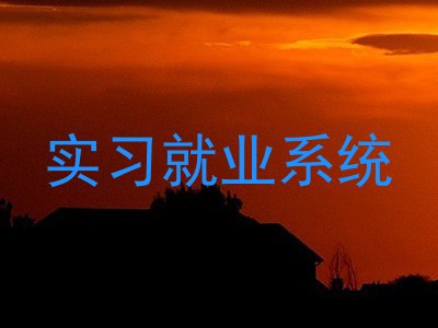实习就业系统