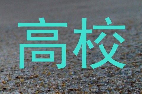 高校