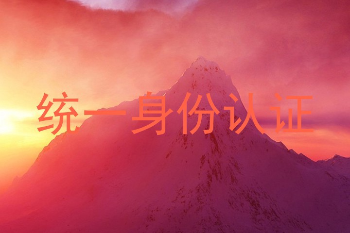 统一身份认证