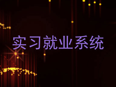 实习就业系统
