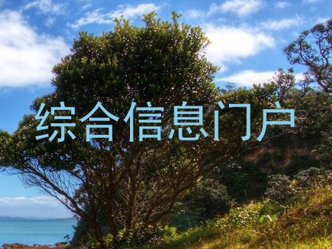 综合信息门户