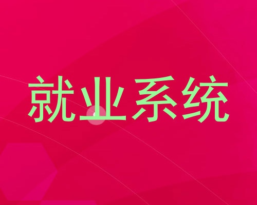 就业系统