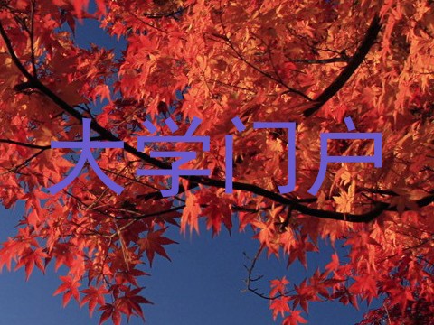 大学门户